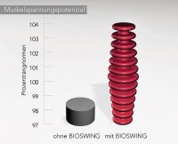 Verbesserung des Muskelspannungspotentials mit Bioswing B&uuml;rost&uuml;hlen