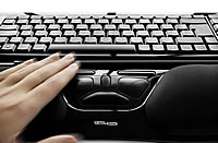 Die Rollstange der RollerMouse wird mit den Fingerspitzen bedient. Dazu k&ouml;nnen die Finger und Daumen beider H&auml;nde ben&uuml;tzt werden.