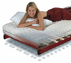 Bettsystem Lattoflex 200: Systemaufbau Bettsystem Lattoflex 200: Systemaufbau aus Unterfederung und Evo-Matratze