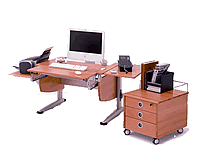Moll Schreibtisch Nature: Computertisch in Massivholz-Ausf&uuml;hrung