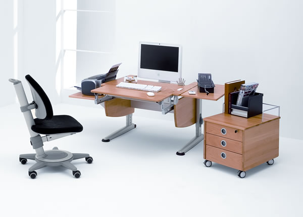 Moll Schreibtisch Nature: Computertisch in Massivholz-Ausführung